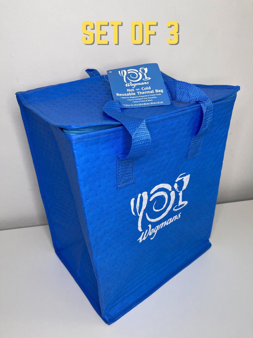 Set of 3 — Wegmans — Reusable Hot Cold Thermal Cooler Tote Bag, Blue & White NWT